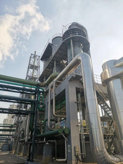 焦化脱硫废液治理新标杆 半干法制酸工艺引领环保工程